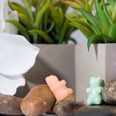 Wax Melts