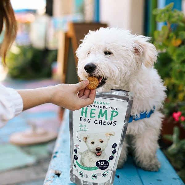 CBD Pet Tinctures and Pet Chews